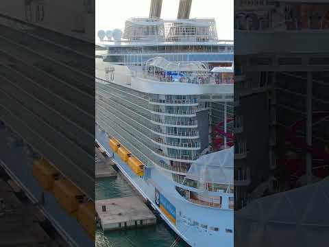 Wonder of the Seas cruise ship stern (Palma de Mayorca)