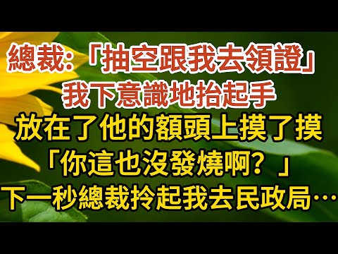 《闪婚总裁》第04集：總裁：「抽空跟我去領證」，我下意識地抬起手，放在了他的額頭上摸了摸，「你這也沒發燒啊？」，下一秒總裁拎起我就去民政局……婚姻#情感 #愛情#甜寵#故事#小說#霸總