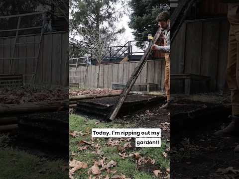 😱 I ripped out ALL of my wooden raised beds. Any guesses on what I'll be replacing them with?!? 👀