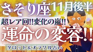 【さそり座】超レア回!!! 運命の変容を受け入れて!! 全体運だけでも見てください💝✨【仕事運/対人運/家庭運/恋愛運/全体運】11月運勢  タロット占い