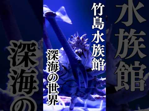 不気味? 怖い!? 興味深い深海の世界！！　竹島水族館がリニューアル、カピバラやアシカの新設も　愛知県蒲郡市