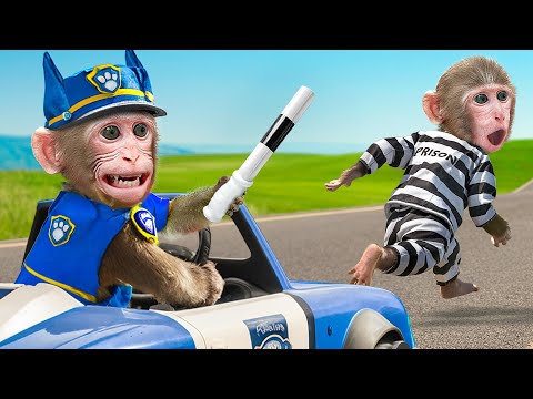 KiKi Monkey pretend play PAW Patrol Police to do Rescue Adventure with Puppy | KUDO ANIMAL KIKI