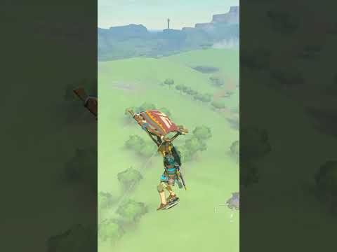 Breath of The Wild's DUMBEST Trickshot... #botw #shorts