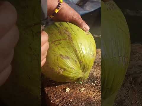 fantastic way to peel coconut Asmr pH street food #satisfying #streetfood #youtubeshorts #Gatchie Jr