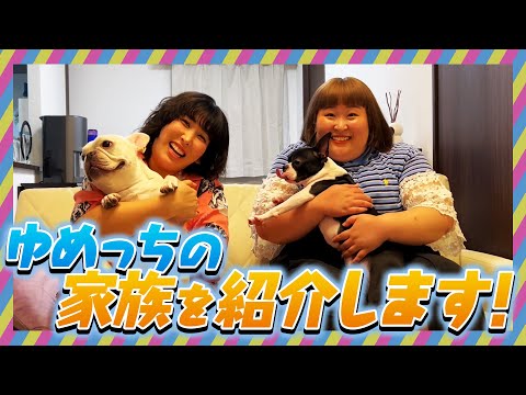 ゆめっちの家族を紹介してみた【愛犬】