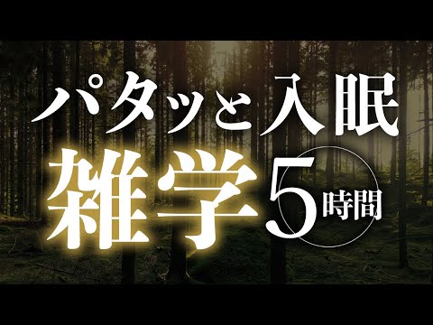 【睡眠導入】パタッと入眠雑学5時間【合成音声】