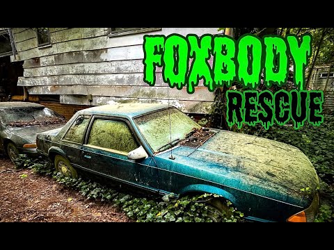 Foxbody Rescue and Build by Teenager