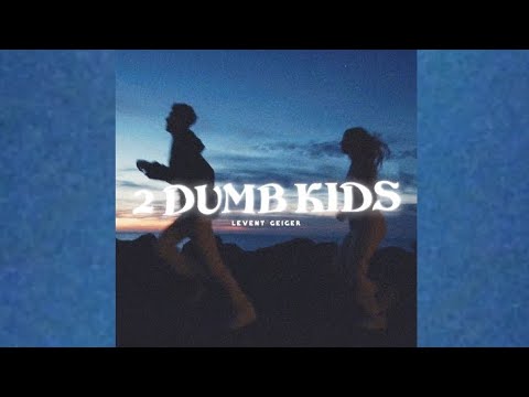 Levent Geiger - 2 Dumb Kids (Extended)