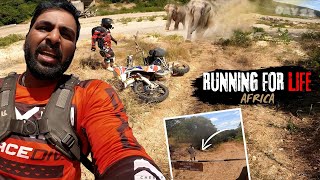 Elephant Attack 😳160Kms In Most Dangerous Dense Forest 😭| World Ride Africa Day 23 @CherryVlogsCV