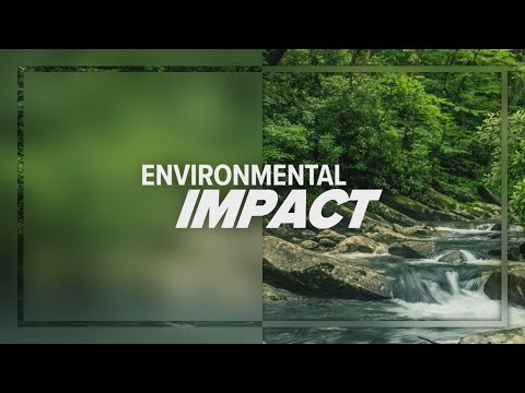 Environmental Impact | Tree Pests, Eco-Friendly Farms, and What's In The Water