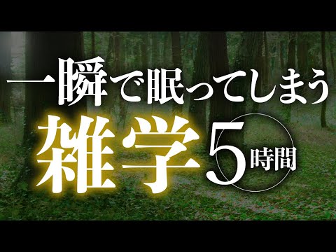 【睡眠導入】一瞬で眠ってしまう雑学5時間【合成音声】