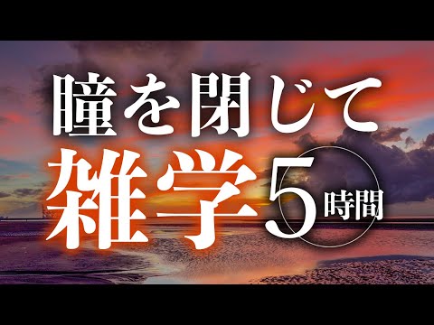 【睡眠導入】瞳を閉じて雑学5時間【合成音声】