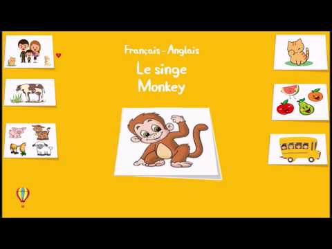 Apprendre l'anglais - Mots populaires pour les enfants