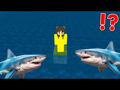 Minecraft BUT Water Rises Every Minute