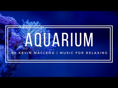 ⭐HD Relaxing Music - Kevin MacLeod - Aquarium 🌊- 1 Hour Jellyfish Aquarium Calming Classical Music