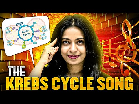 Learn Krebs Cycle like Never Before 🎵🔥#pwenglish #krebscycle