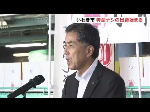 いわき特産「ナシ」出荷始まる　例年より2週間早く　やや小ぶりも甘み強い　福島