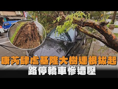 康芮肆虐基隆大樹連根拔起！路停轎車慘遭壓