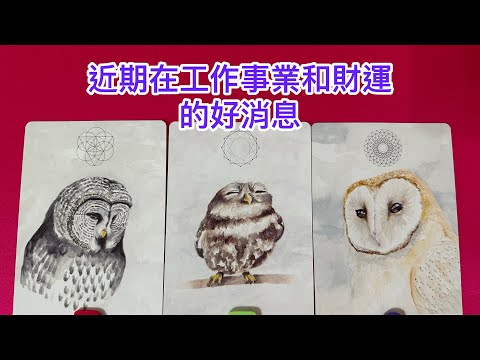 ❤️塔羅占卜-(cc字幕)近期的工作事業和財運的好消息？有機會轉職嗎？適合嗎？天使和宇宙能量的傳訊和祝福🎁