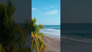 Accesible, Titled, Guanacaste Beach Land - Live the Costa Rica Dream | #shorts