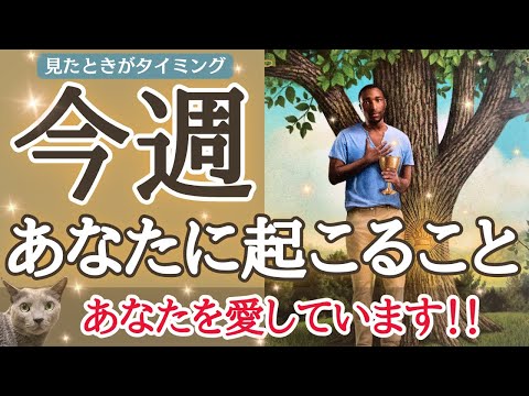 あなたへ想いを伝えたい方が動いてきます❤️😆個人鑑定級深掘り✨「今週あなたに起こること」見た時がタイミングです🙌🌈［占い/タロット/ルノルマン/オラクルカード/恋愛/仕事/潜在意識/龍神］