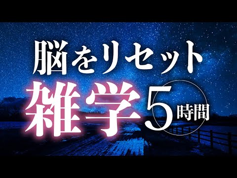 【睡眠導入】脳をリセット雑学5時間【合成音声】