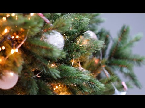 O Christmas Tree Song with Lyrics | Christmas Songs and Carols