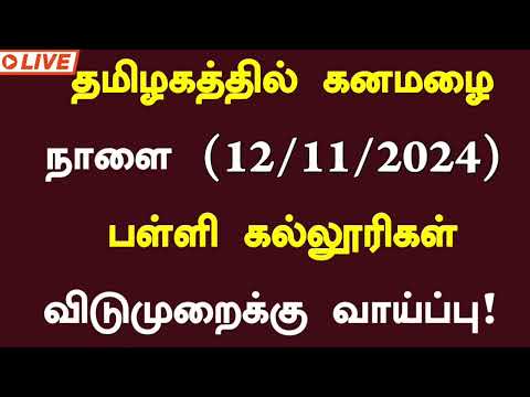 🤩தமிழகத்தில் கனமழை காரணமாக நாளை 12.11.2024 பள்ளி,கல்லூரிகள் விடுமுறை அறிவிப்பு | School Leave News