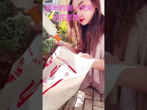 【梅子律師】今年的第一天來拈花惹草！之後完整版會再上架！原來新年的第一天花市好多人喔！