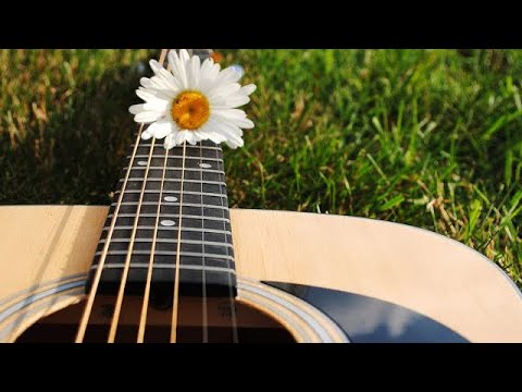 lofi chill guitar | relax and study📚 | 10 Hour