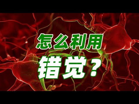 大脑中的错觉怎么产生的，我们应该如何利用它？|《错觉的法则》