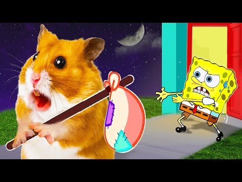 Hamster Escapes the Awesome Maze for Pets in real life 🐹 SpongeBob Finding Hamster