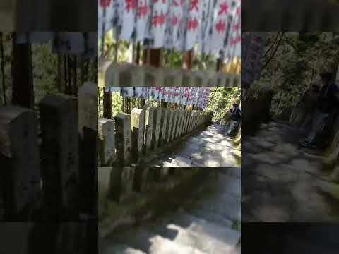 パワースポット！　如意輪寺～金峯山寺〜脳天大神　吉野山の桜（中千本）　#パワースポット