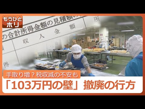 労働者も経営者も悩みの種、年収「103万円の壁」撤廃で手取りは増える？税収減の懸念も…社会保険料負担でさらなる「壁」根本的な手取り増加策はどこに