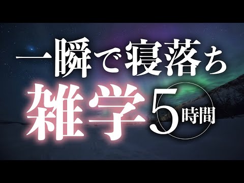 【睡眠導入】一瞬で寝落ち雑学5時間【合成音声】