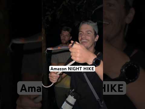 Finding SNAKES and SPIDERS at night in the Amazon!