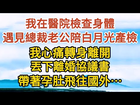 【完結】我在醫院檢查身體，遇見總裁老公陪白月光產檢，我心痛轉身離開，丟下離婚協議書，帶著孕肚飛往國外……#戀愛#婚姻#情感故事 #愛情#家庭#甜寵#故事#小說#霸總