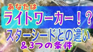 あなたもライトワーカー！？✨ライトワーカーとは？スターシードとの違いは？ライトワーカーの重要な３つの条件✨