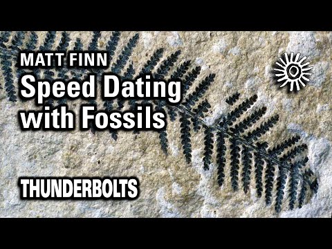 Matt Finn: Speed Dating with Fossils | Thunderbolts