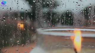 ASMR - Rain outside a Cafe #asmr #asmrvideo #asmrsound #asmrambiance #relaxing #café #cafemusic