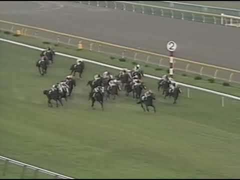 ヤマニンゼファー 1992年 第42回安田記念(GI) (優勝馬：ヤマニンゼファー)(実況：ラジオたんぱ)