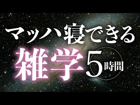 【睡眠導入】マッハ寝できる雑学5時間【合成音声】