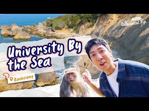 Monkeys, Seascapes, and Bunkers at a School | 📍𝑲𝒂𝒐𝒉𝒔𝒊𝒖𝒏𝒈 | Whirlwind Trip