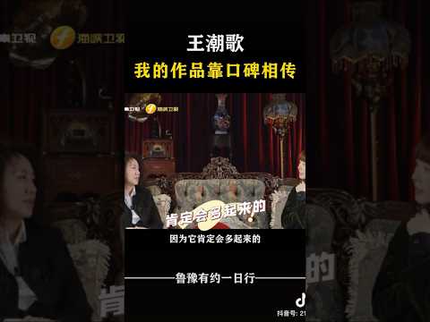 王潮歌：我的作品靠口碑相传 #对话 #访谈