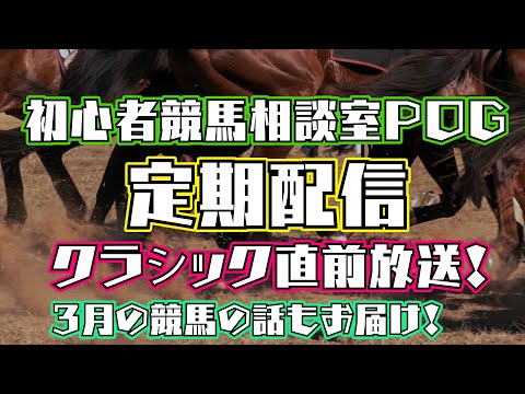 #初心者競馬相談室POG 定期配信 & 桜花賞直前、ドバイ、3月の競馬話もするよ！【競馬】