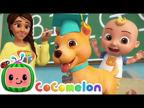 Bingo's First Day at School! 🐶 Baby JJ's BINGO Spelling Song | CoComelon Nursery Rhymes & Kids Songs