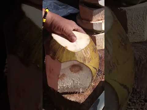 Fantastic way to peel coconut Asmr #satisfying #coconut #streetfood #youtubeshorts @GatchieJr33