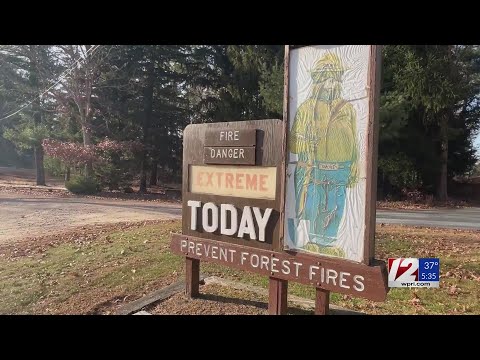 How to protect your property during brushfire season