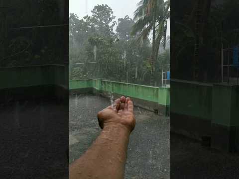 Heavy rain #heavy #rain #heavyrain #barish #cyclone #ytshort #shorts #rainsounds