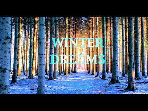 Beautiful, relaxing winter forest - peaceful music video, neutral, no loops, long-play, 4K